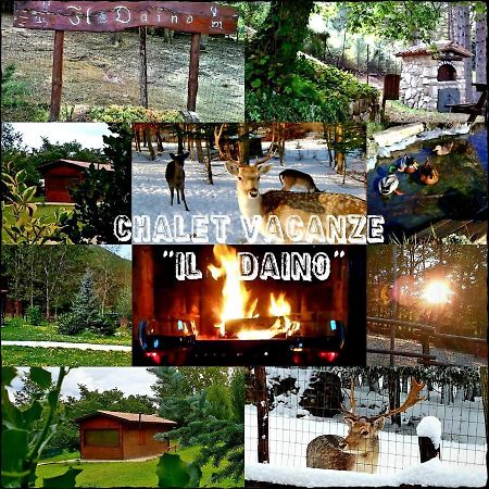 Chalet Vacanze Il Daino Leonessa Luaran gambar