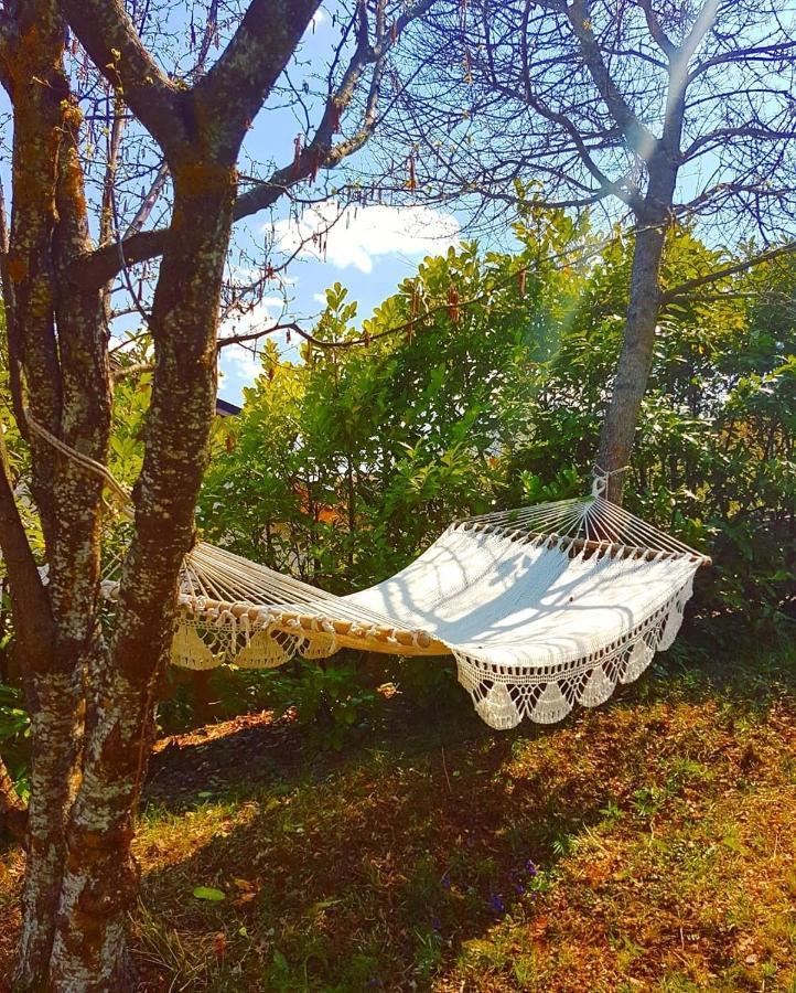 Chalet Vacanze Il Daino Leonessa Luaran gambar