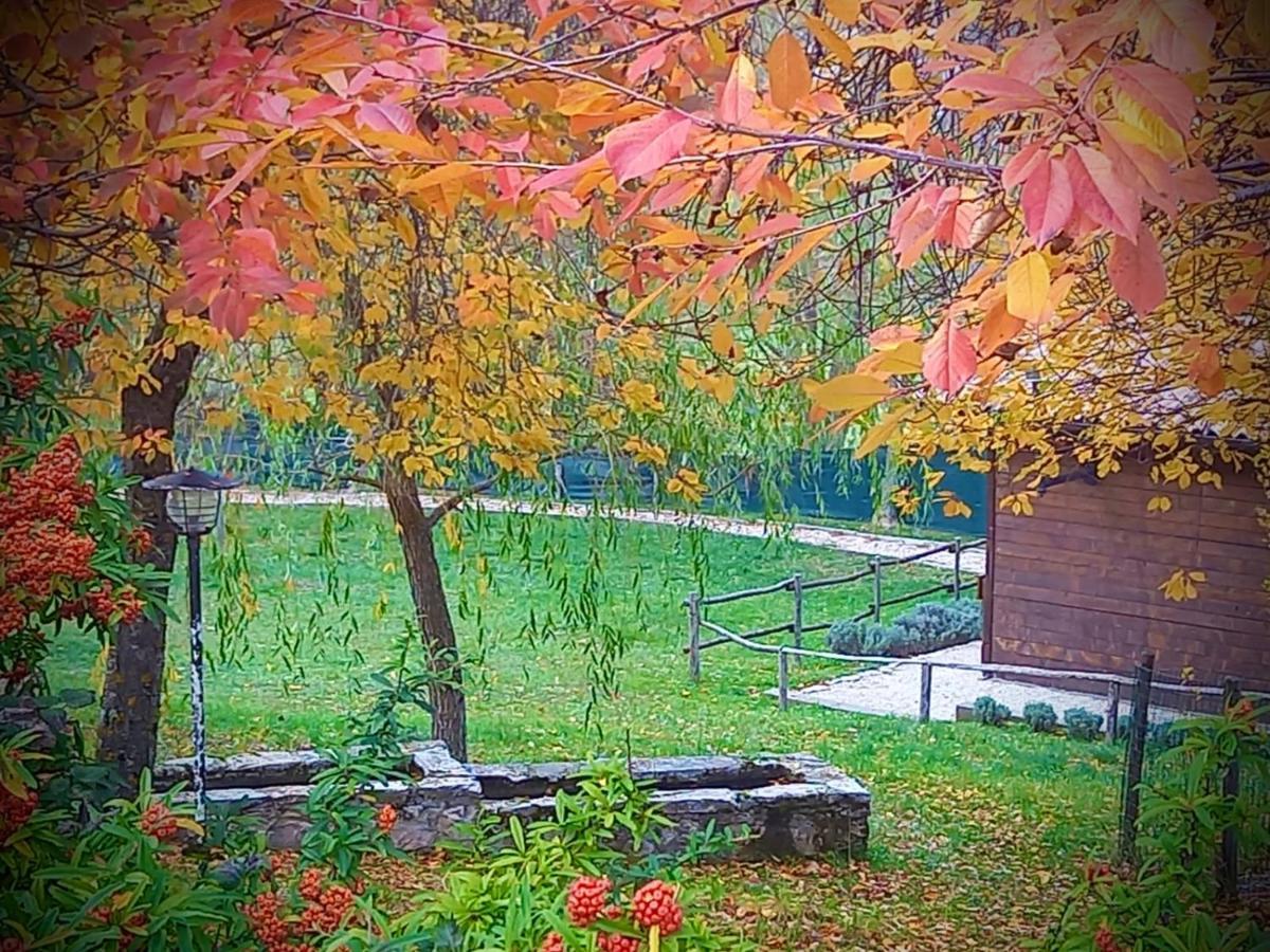 Chalet Vacanze Il Daino Leonessa Luaran gambar