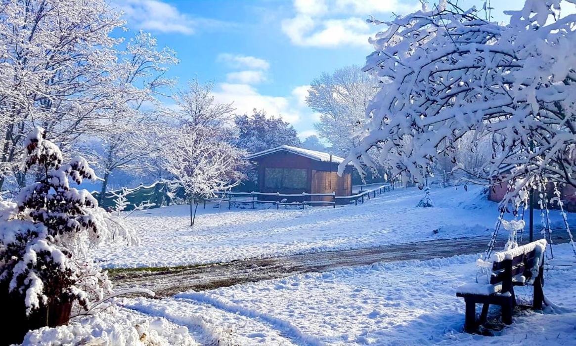 Chalet Vacanze Il Daino Leonessa Luaran gambar